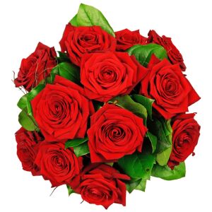 12 red roses -  longstemmed